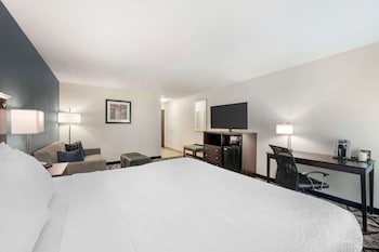 Standard Room, 1 King Bed, Accessible, Non Smoking (Walk-in Shower;with Sofabed)