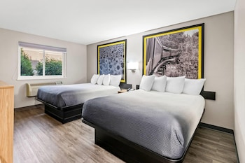 Room, 2 Queen Beds, Non Smoking (Pet Friendly)