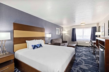 Standard Room, 1 King Bed, Non Smoking, Refrigerator & Microwave (with Sofabed)