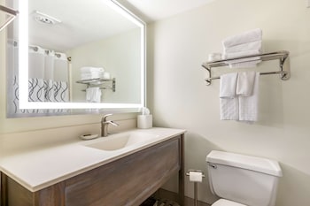 Executive Suite, 1 King Bed, Non Smoking, Refrigerator & Microwave (with Sofabed)