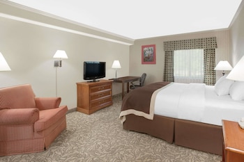 Efficiency, Room, 1 Queen Bed, Non Smoking