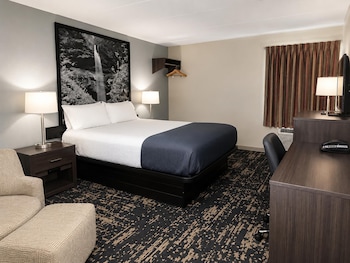 Room, 1 King Bed, Smoking