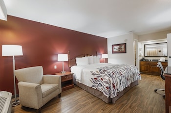 Superior Room, 1 King Bed, Non Smoking