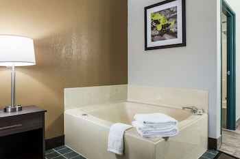 One King Bed Non Smoking With Whirlpool