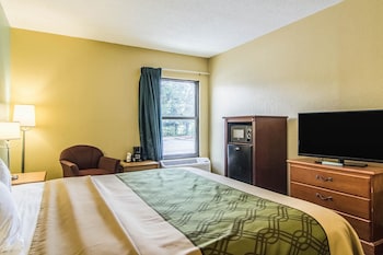 Room, 1 King Bed, Accessible, Non Smoking