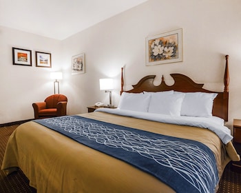 Room, 1 King Bed