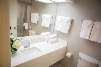 Executive Suite, 1 King Bed