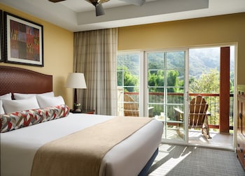 Suite, 1 Bdrm, Mountain View Accessible