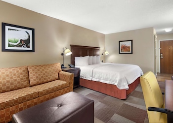 Room, 1 King Bed (Study)