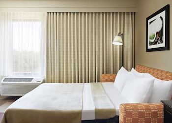 Room, 1 King Bed (Study)