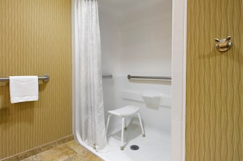 1 King Bed, Mobility/Hearing Accessible with Roll-In Shower