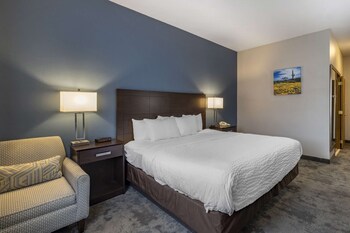 Room, 1 King Bed, Accessible, Non Smoking