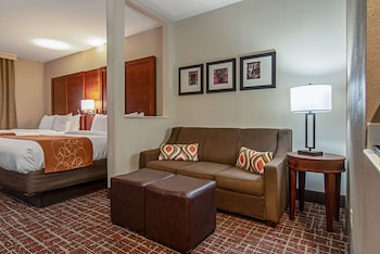 Suite, 1 King Bed, Non Smoking (Interior)