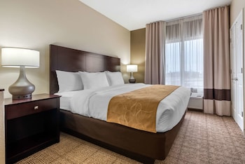 Room, 1 King Bed with Sofa bed, Accessible, Non Smoking