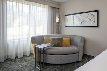 Room, 1 King Bed with Sofa bed, Hearing Accessible (Accessible Bathtub)