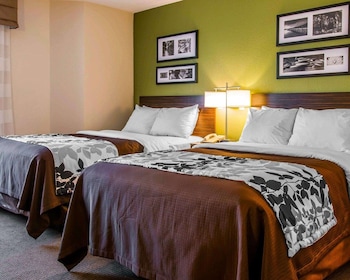 Standard Double Room, 2 Double Beds, Non Smoking
