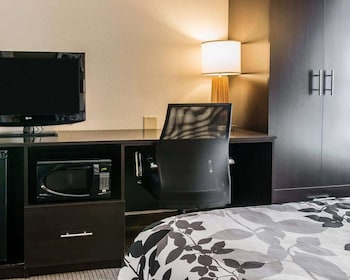 ADA Mobility Accessible Room, 1 Queen Bed, Non Smoking (Accessible Bathtub)