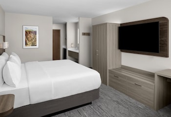 Standard Room, 1 King Bed (Pet Friendly)