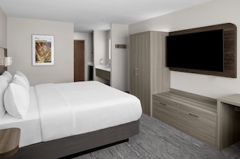 Suite, 1 King Bed