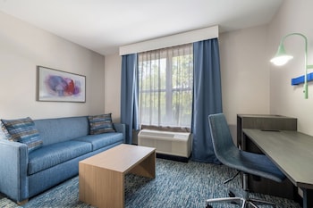 Standard Room, 1 King Bed with Sofa bed