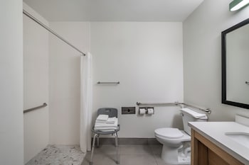 Standard Room, 1 Queen Bed, Roll-in Shower (Mobility Accessible)