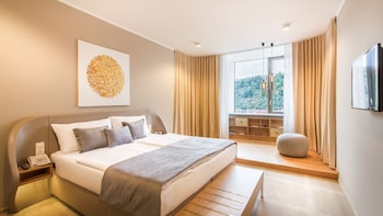 Deluxe Double or Twin Room, River View