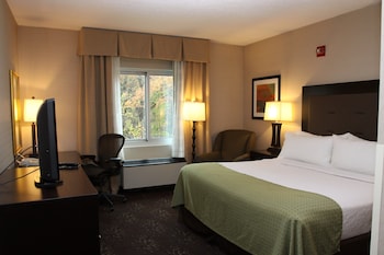 Suite, 1 King Bed (Additional Living Area)