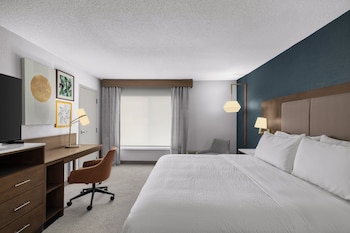 Standard Room, 1 King Bed (Lower Level)