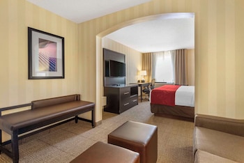Suite, 1 King Bed with Sofa bed, Non Smoking
