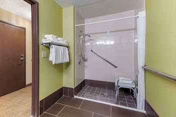 Suite, 1 King Bed with Sofa bed, Accessible, Non Smoking (Roll-In Shower)