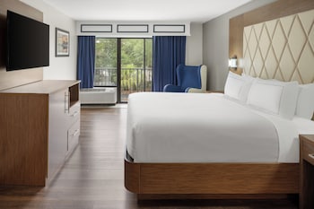 Room, 1 King Bed, Accessible, Bathtub
