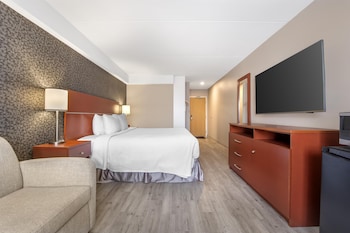 Standard Room, 1 King Bed, Non Smoking, Refrigerator & Microwave (with Sofabed)
