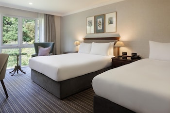 Family Room, 1 Queen Bed