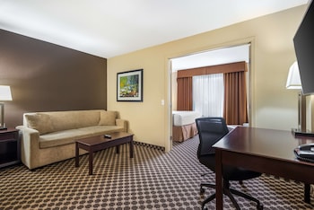 Suite, 1 Queen Bed, Non Smoking, Refrigerator & Microwave (with Sofabed)