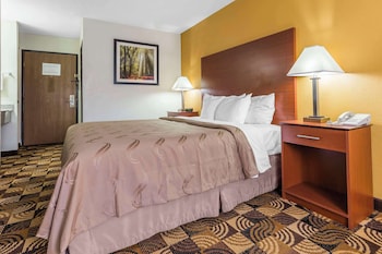 Standard Room, 1 King Bed, Non Smoking