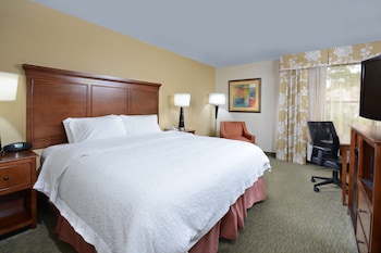 Room, 1 King Bed, Non Smoking