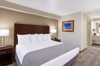 Standard Room, 1 King Bed, Accessible, Non Smoking