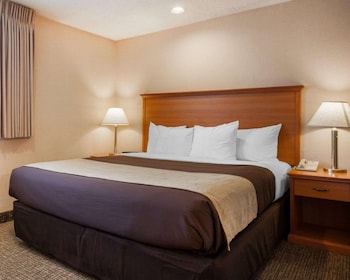 Standard Room, 1 King Bed, Accessible, Non Smoking