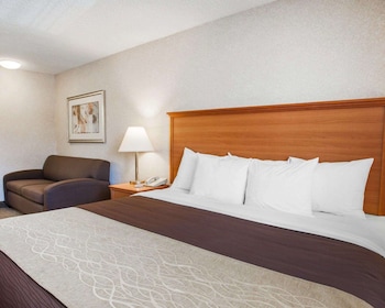 Standard Room, 1 King Bed, Non Smoking