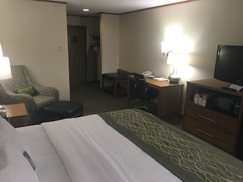 Standard Room, 1 King Bed, Non Smoking