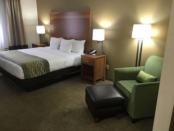 Standard Room, 1 King Bed, Non Smoking