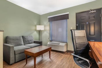 Suite, 1 King Bed with Sofa bed