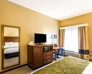 Room, 1 King Bed, Accessible, Non Smoking