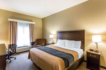 Room, 1 King Bed, Non Smoking