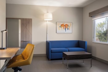 Suite, 1 King Bed, Mountain View