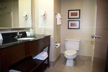 Suite, 1 King Bed with Sofa bed, Non Smoking