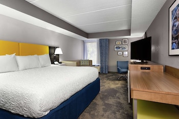 Room, 1 King Bed with Sofa bed (with Shower)