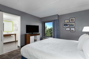 Room, 1 King Bed with Sofa bed, Accessible (ADA with Sofa and Roll In Shower)