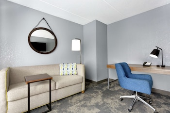 Suite, 1 King Bed with Sofa bed, Accessible (Hearing Impaired with Sofa and Shower)