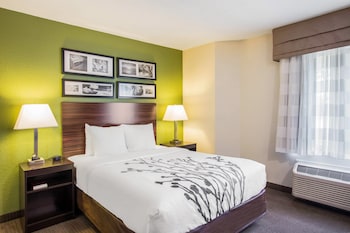 Standard Room, 1 Queen Bed, Non Smoking